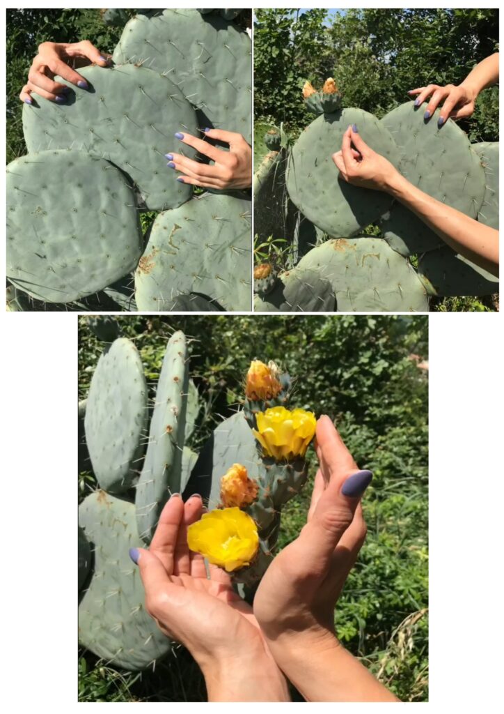 ew